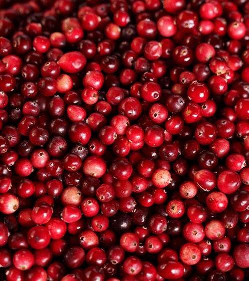 Flowens as Cranberries